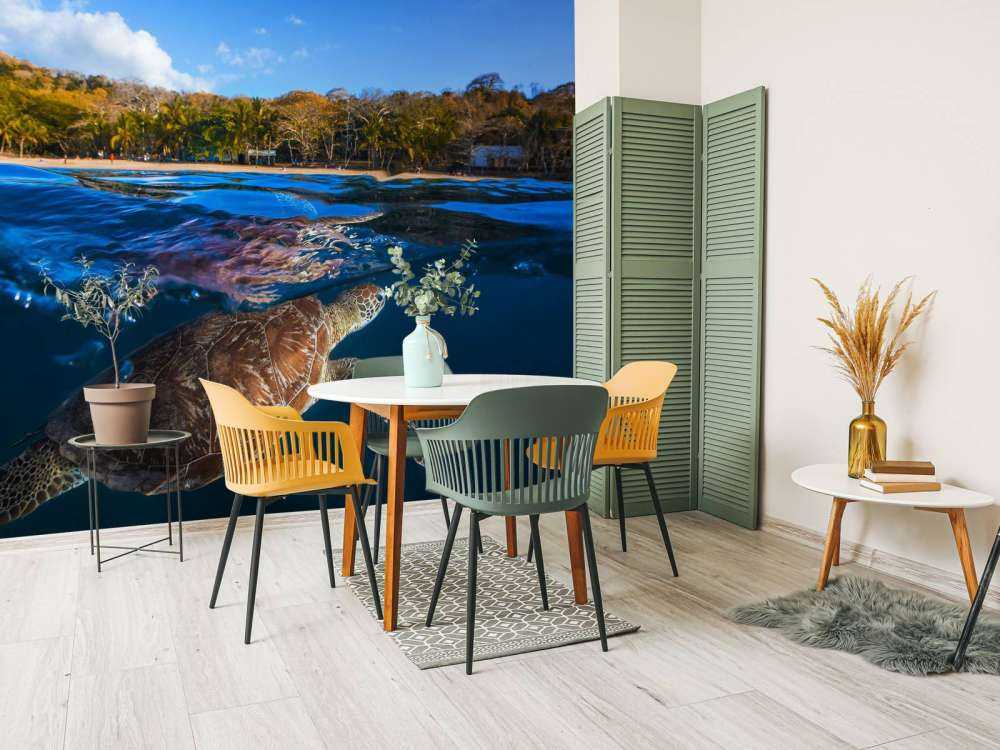 Green Turtle - Sea Turtle