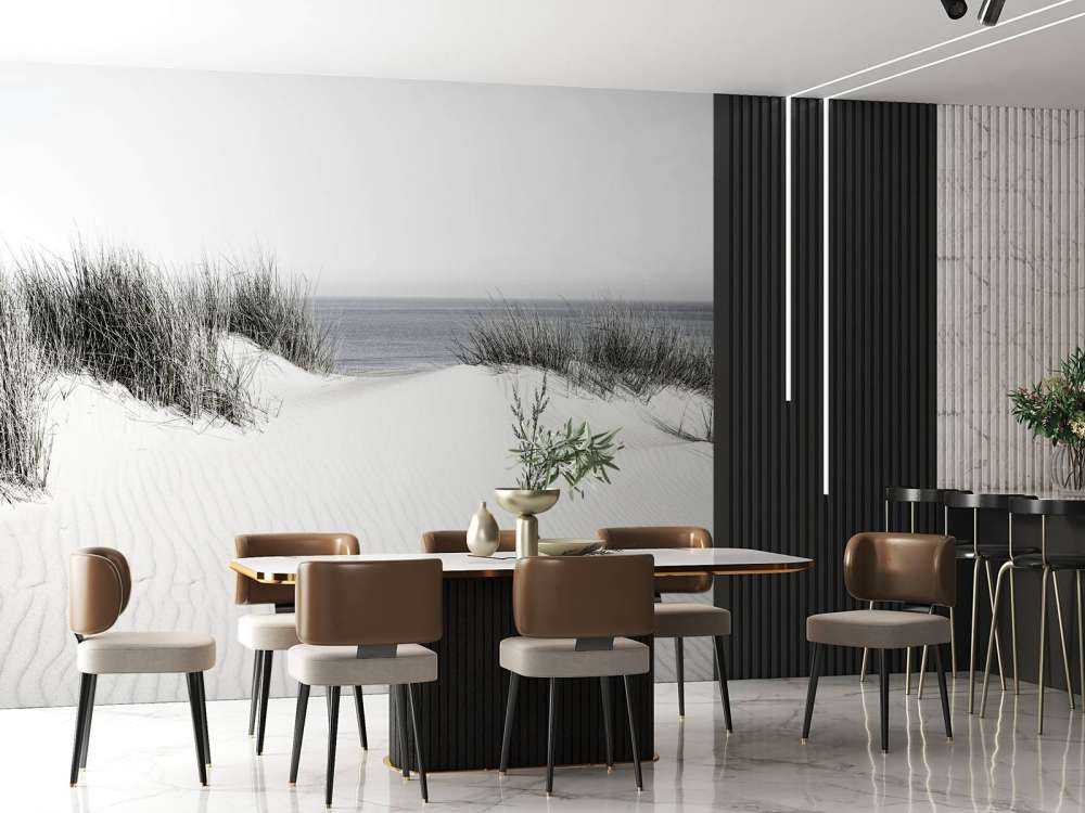 Passaggio dalla duna alla spiaggia in bianco e nero