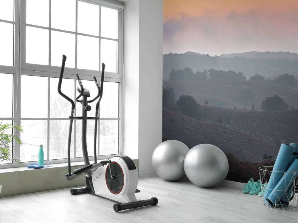 Alba nebbiosa sulla brughiera