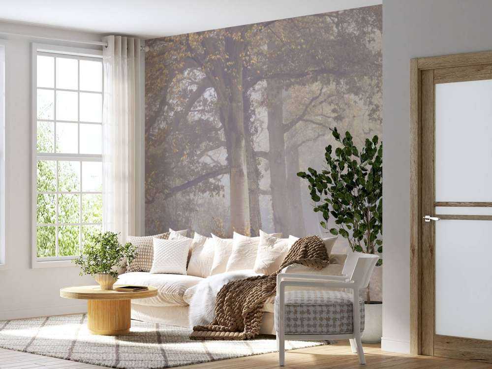 Strada nebbiosa con alberi