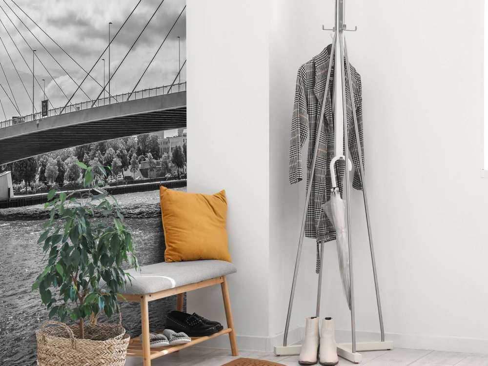 Passaggio del ponte Principe Willem Alexander a Rotterdam in bianco e nero