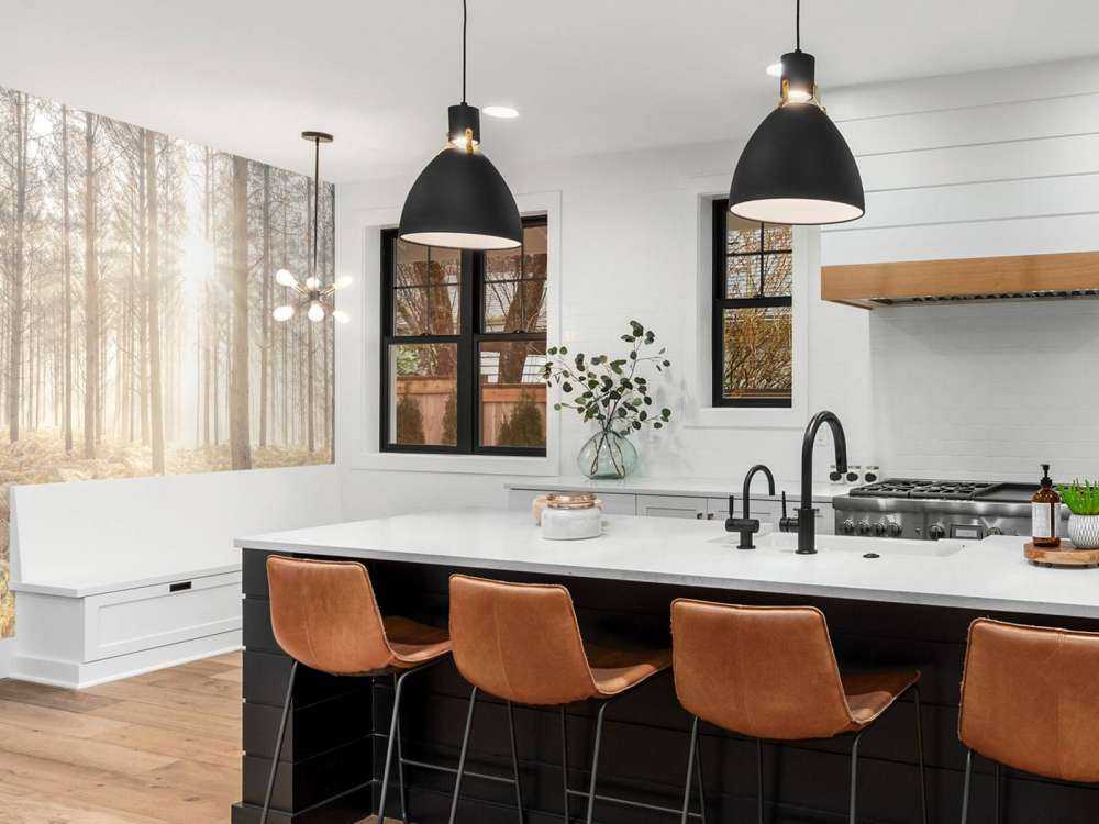 Raggi di sole attraverso la fredda foresta