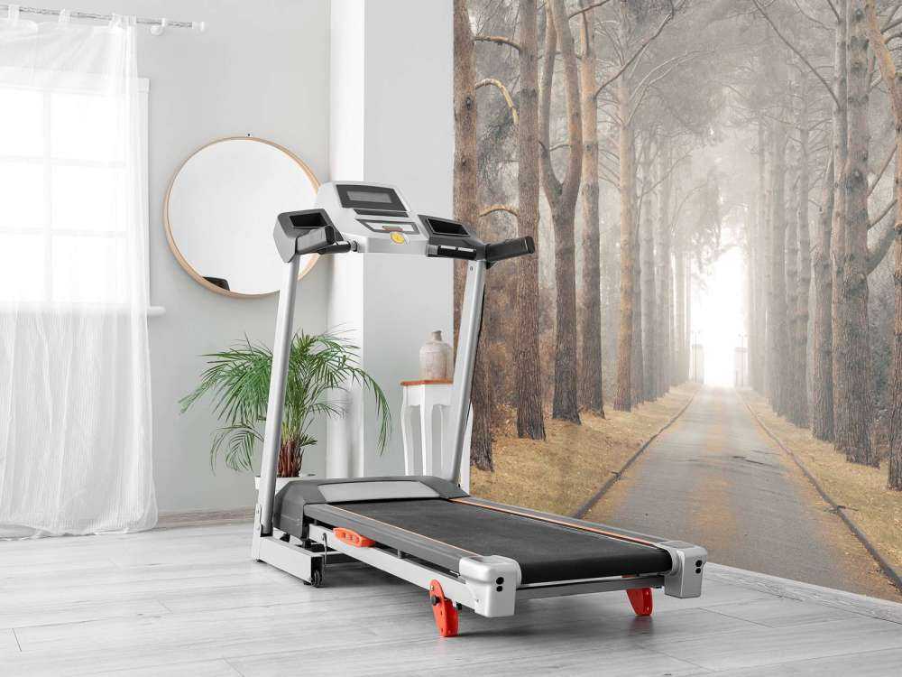 Foresta nella nebbia