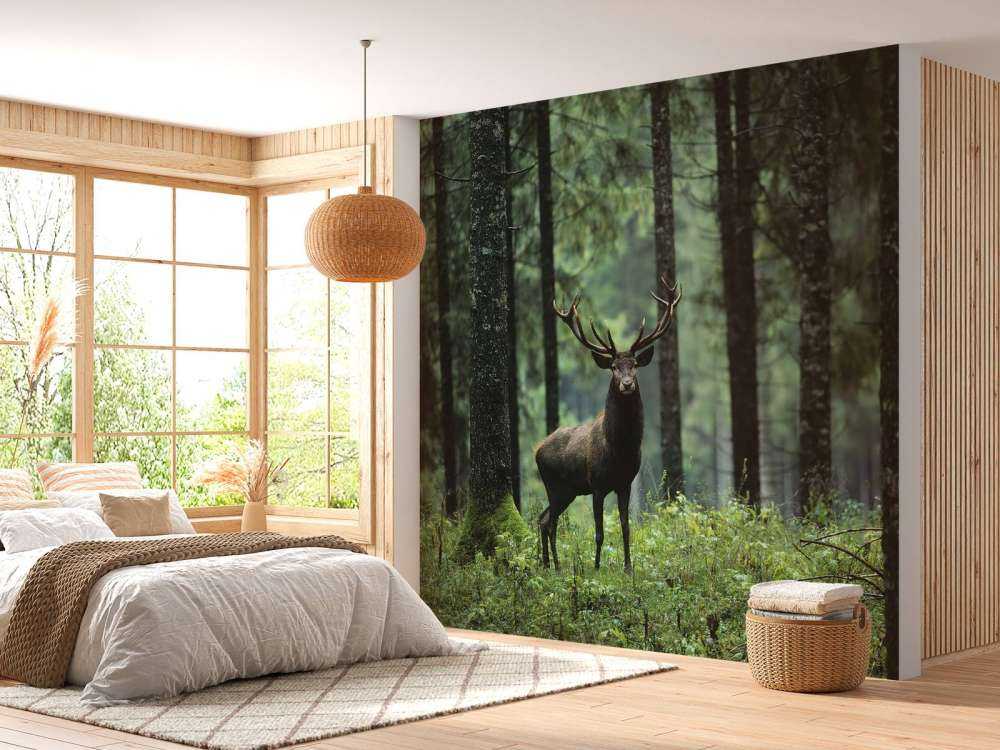 Grande cervo tra gli alberi