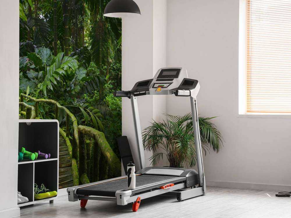 Ponte stretto della giungla