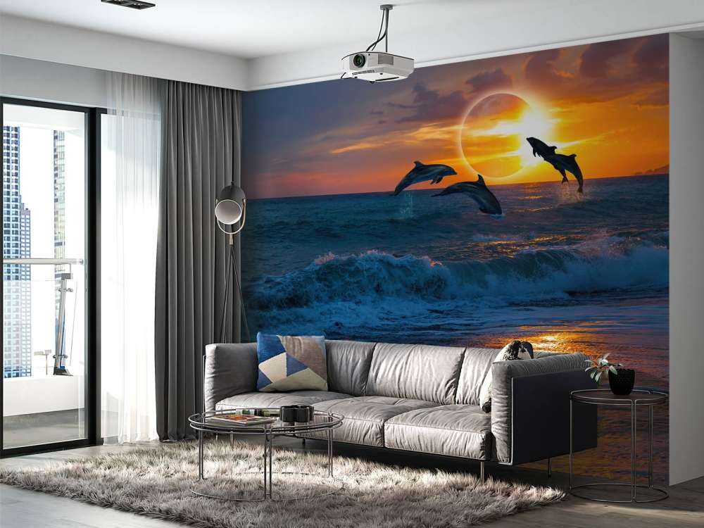 Delfini con tramonto