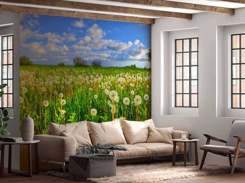 Campo di denti di leone