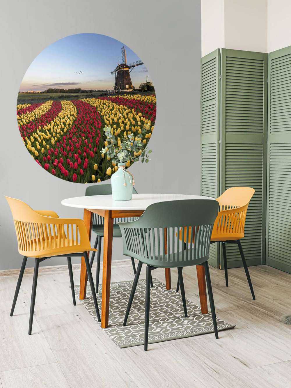 Campo di tulipani olandese