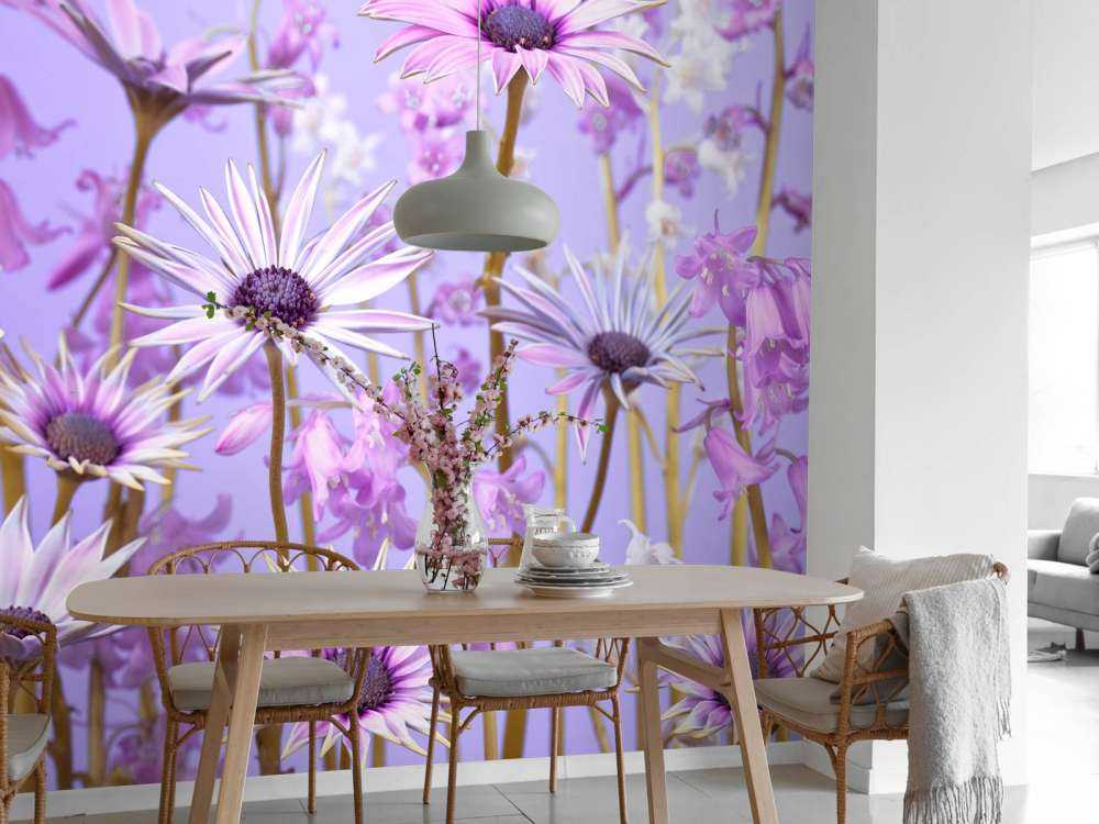 Fiori viola colorati