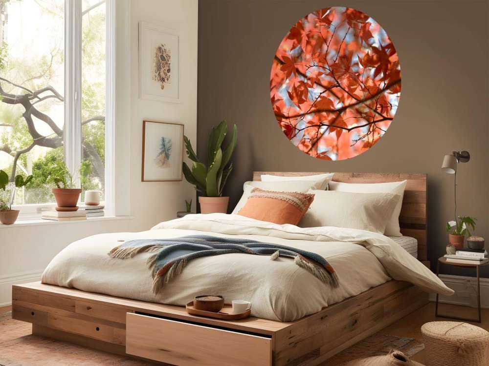 Foglie autunnali colorate