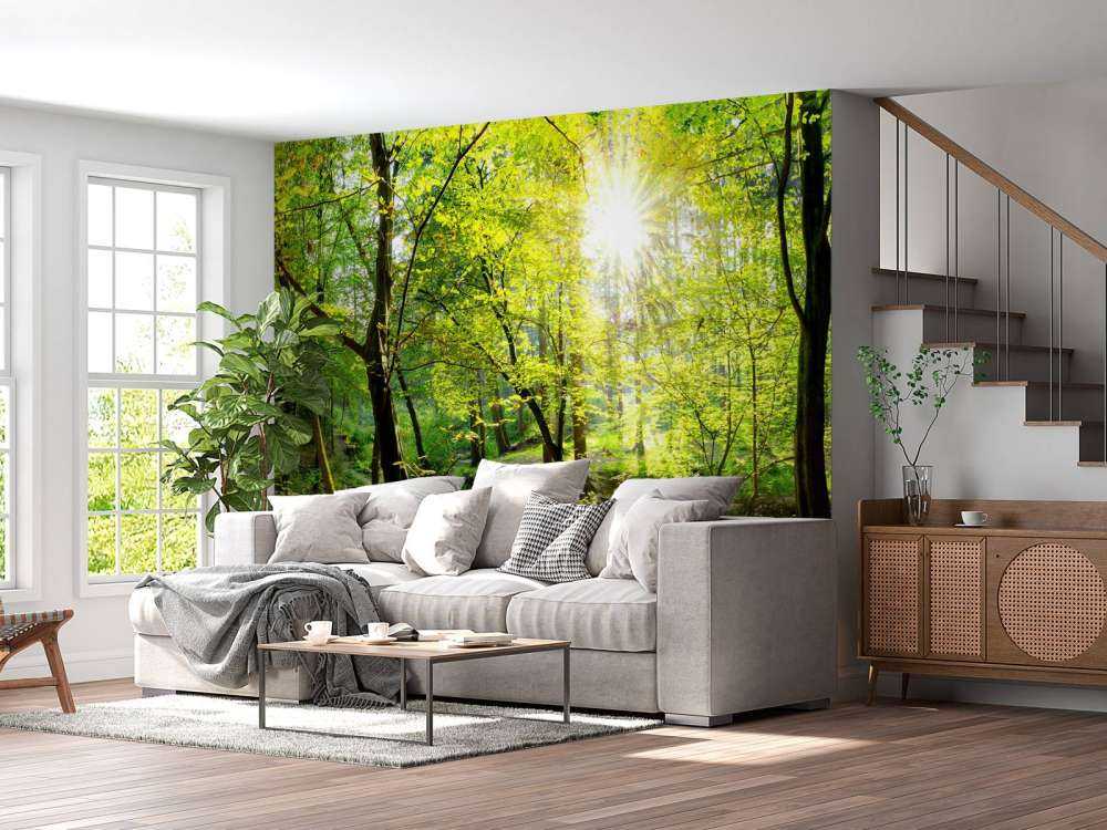 Foresta con un ruscello