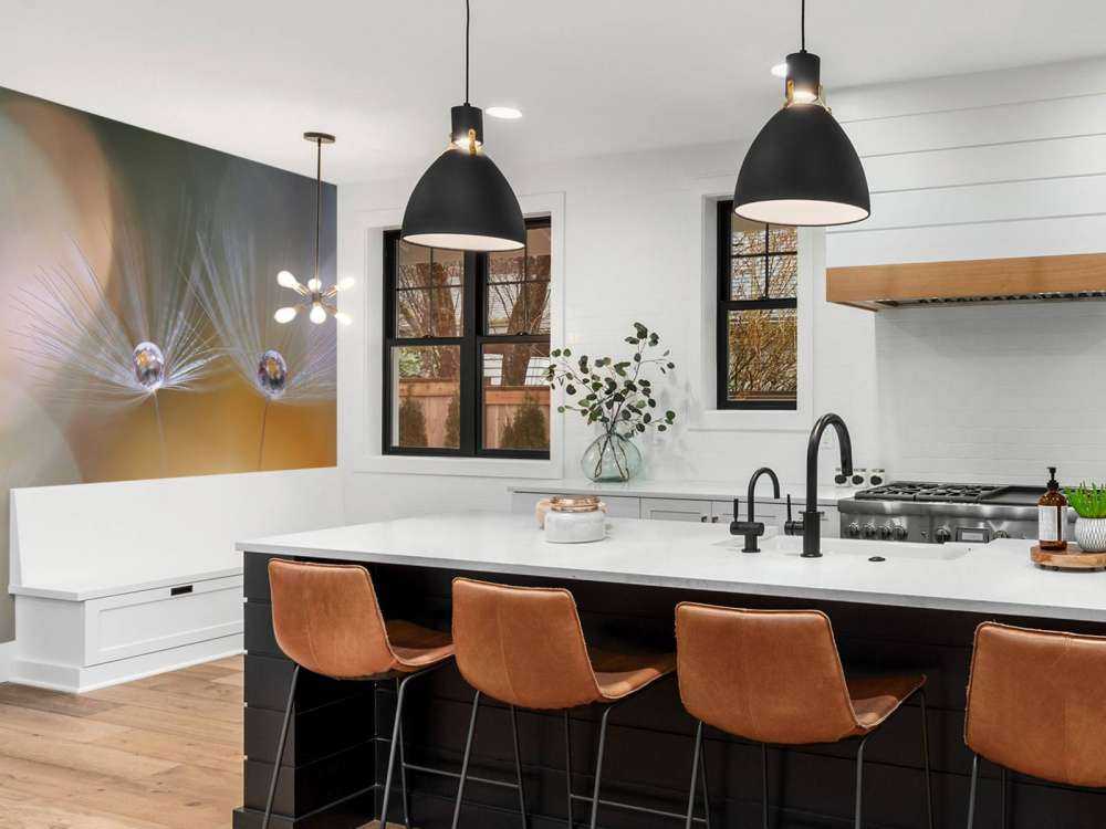 Semi di dente di leone