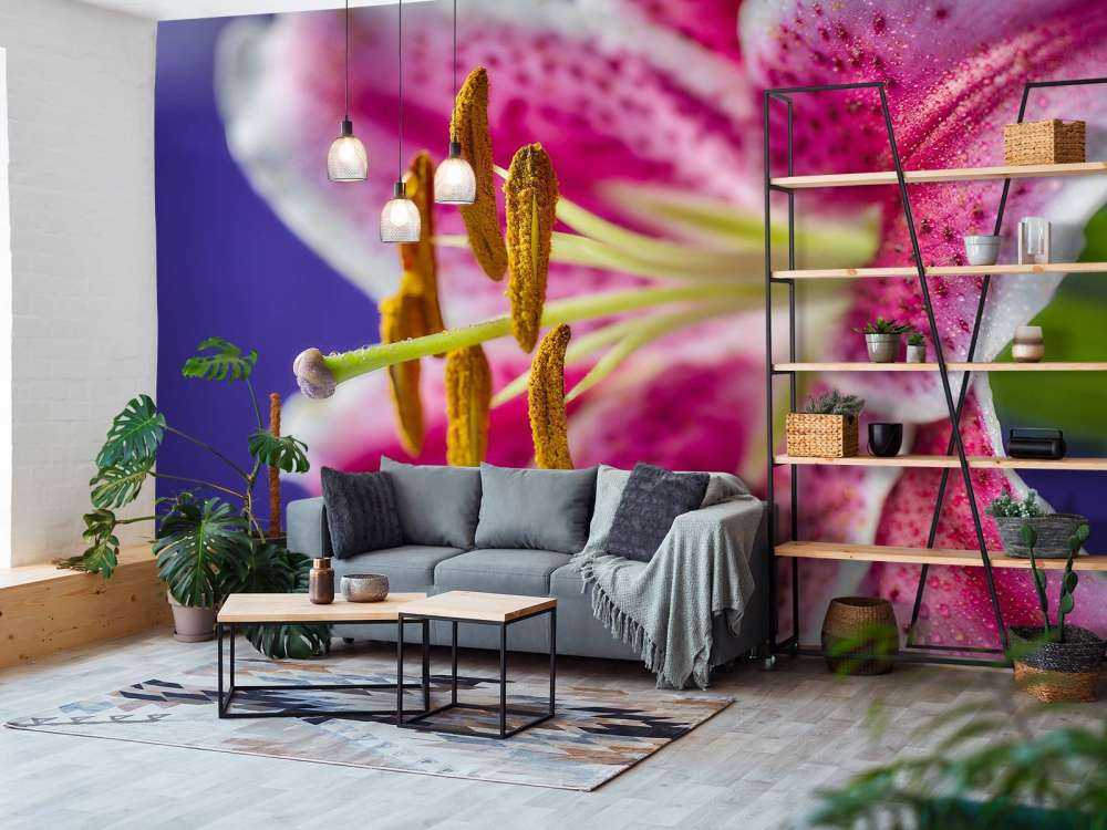 Fiore rosa ravvicinato