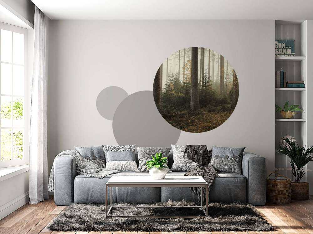 La foresta di Kaufunger