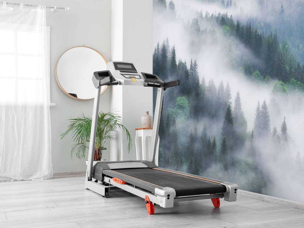 Foresta nebbiosa in montagna