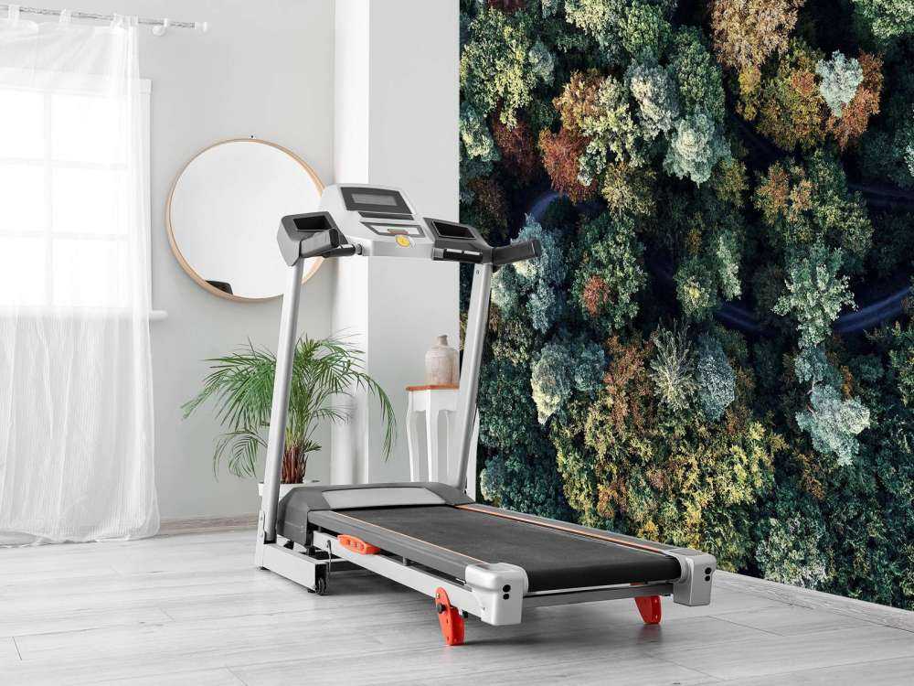 Foresta autunnale dall'alto