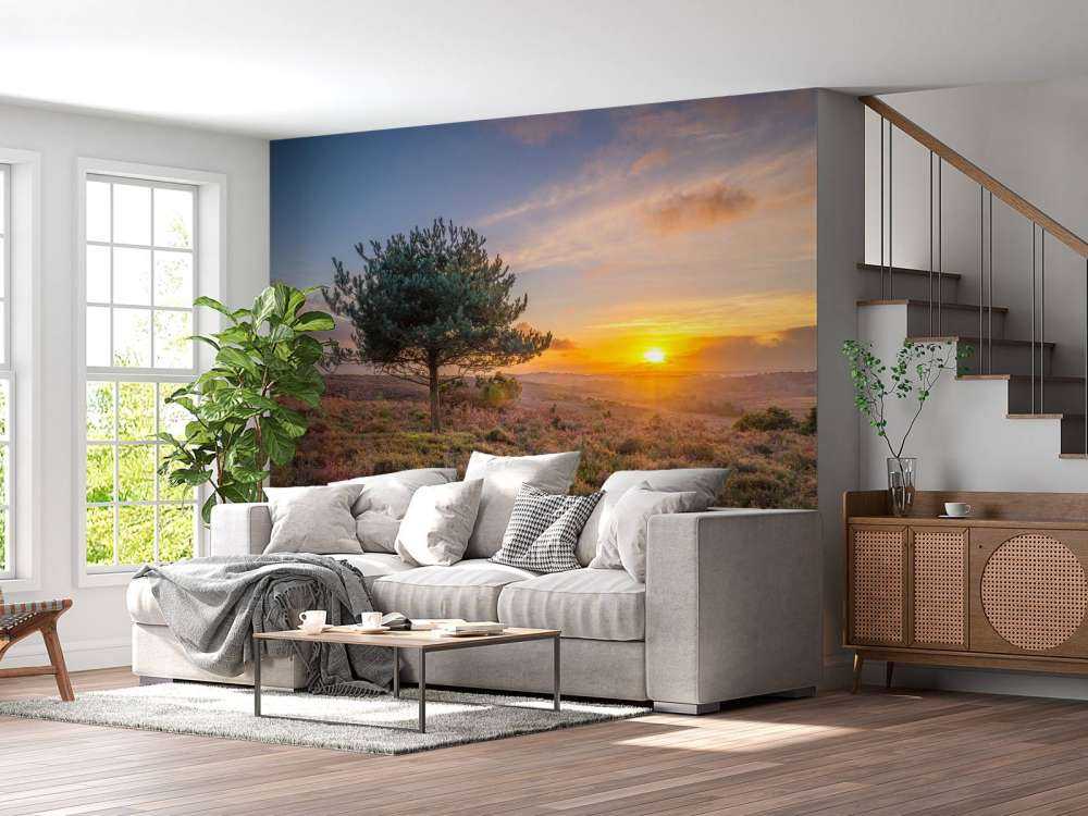 Tramonto sulla brughiera