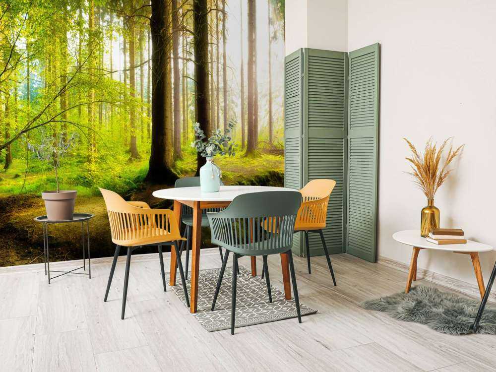 Fresca foresta verde