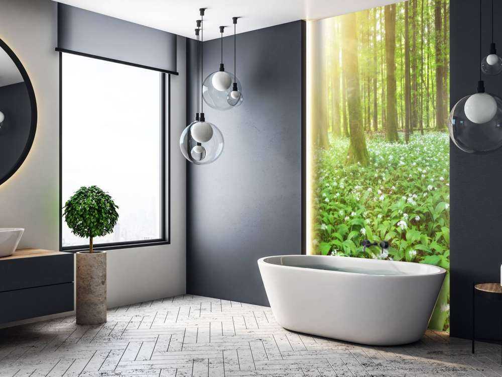 Foresta selvaggia all'alba