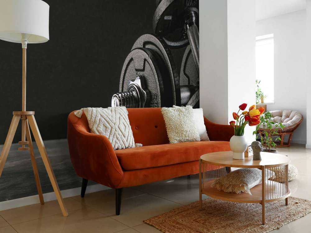 Manubri per il fitness