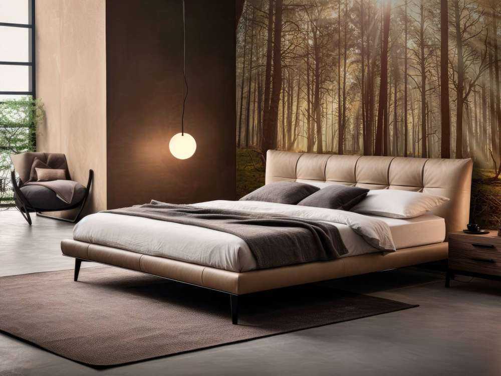 Foresta con alberi ad alto fusto