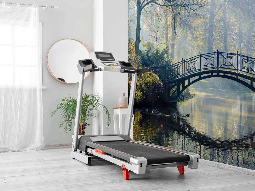 Ponte vecchio in autunno