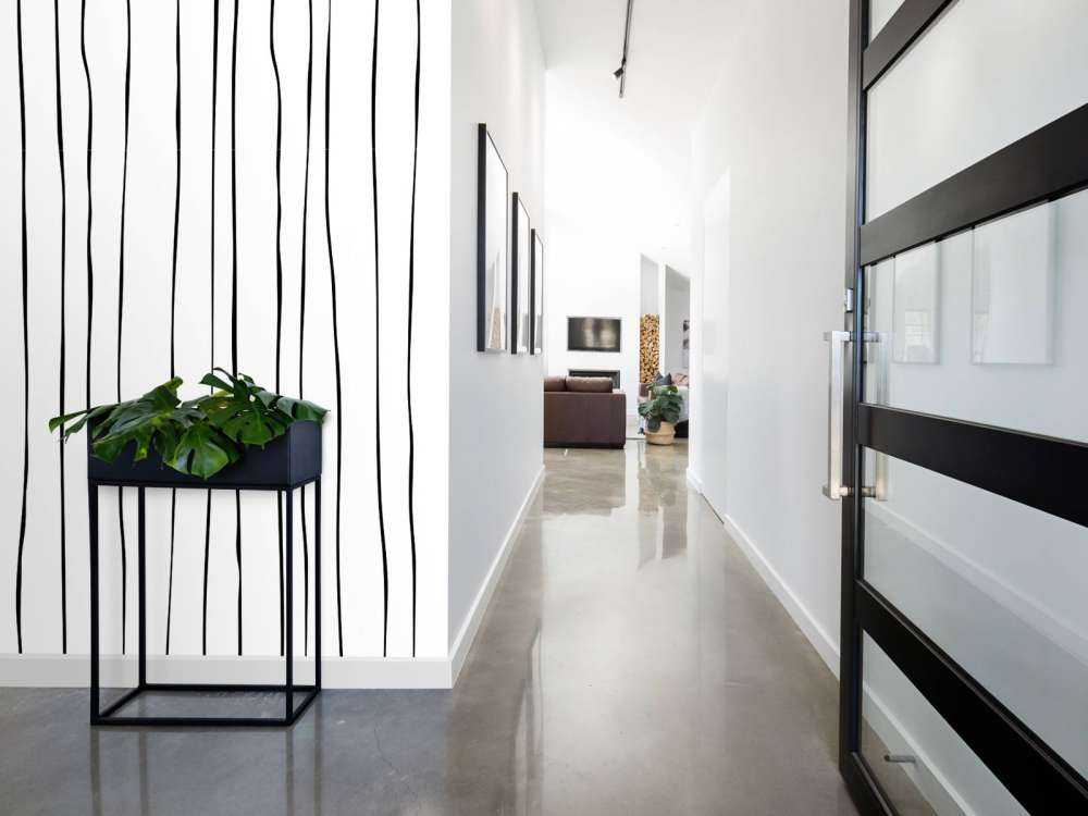 Linee astratte in bianco e nero