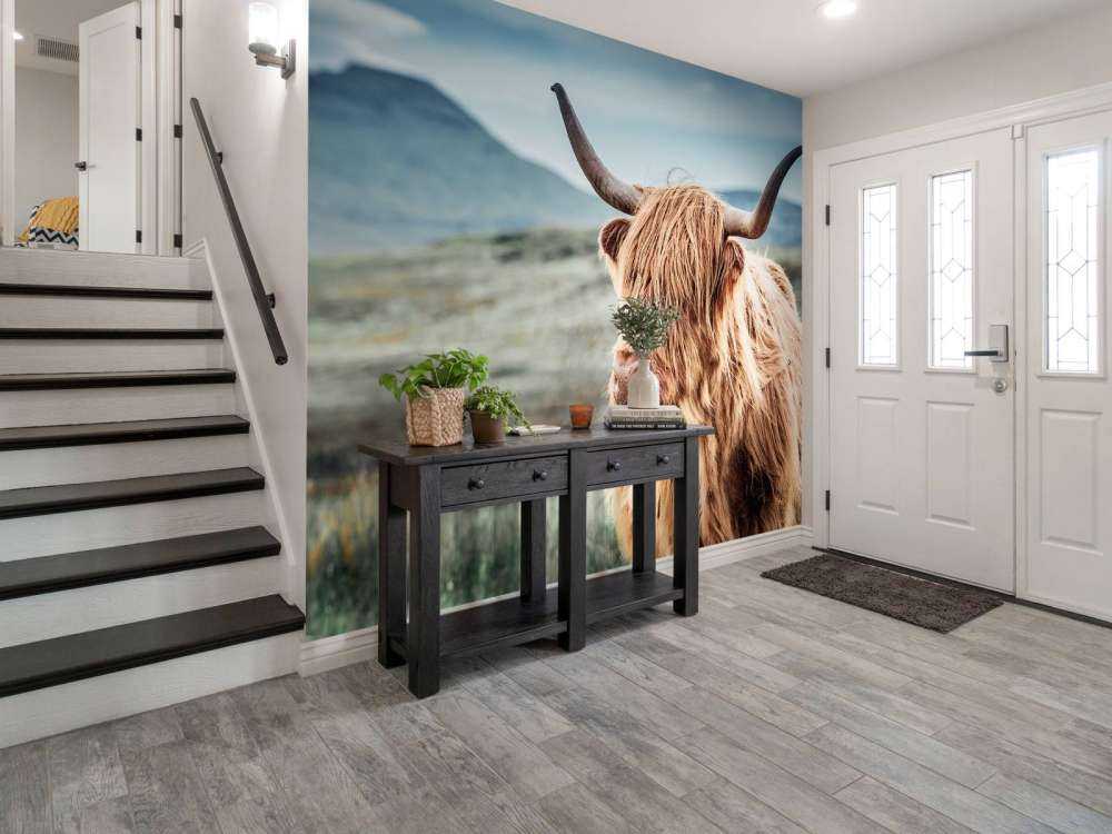 Highlander scozzese sulle colline