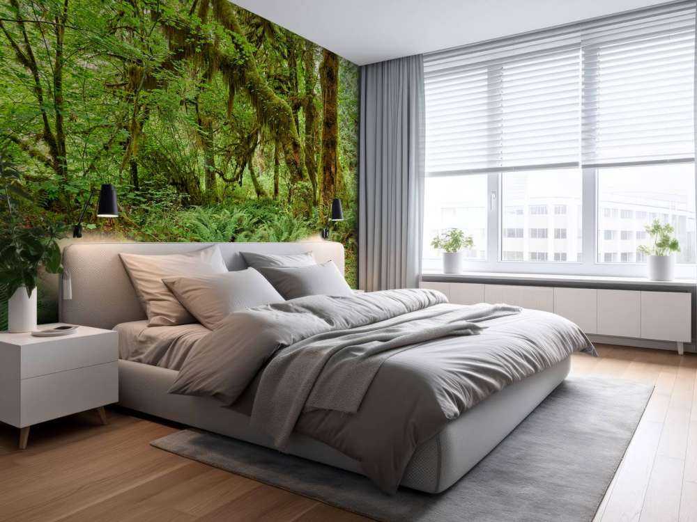 Felci in un vecchio bosco