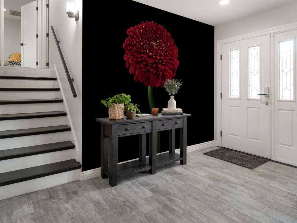 Fiore rosso su stelo