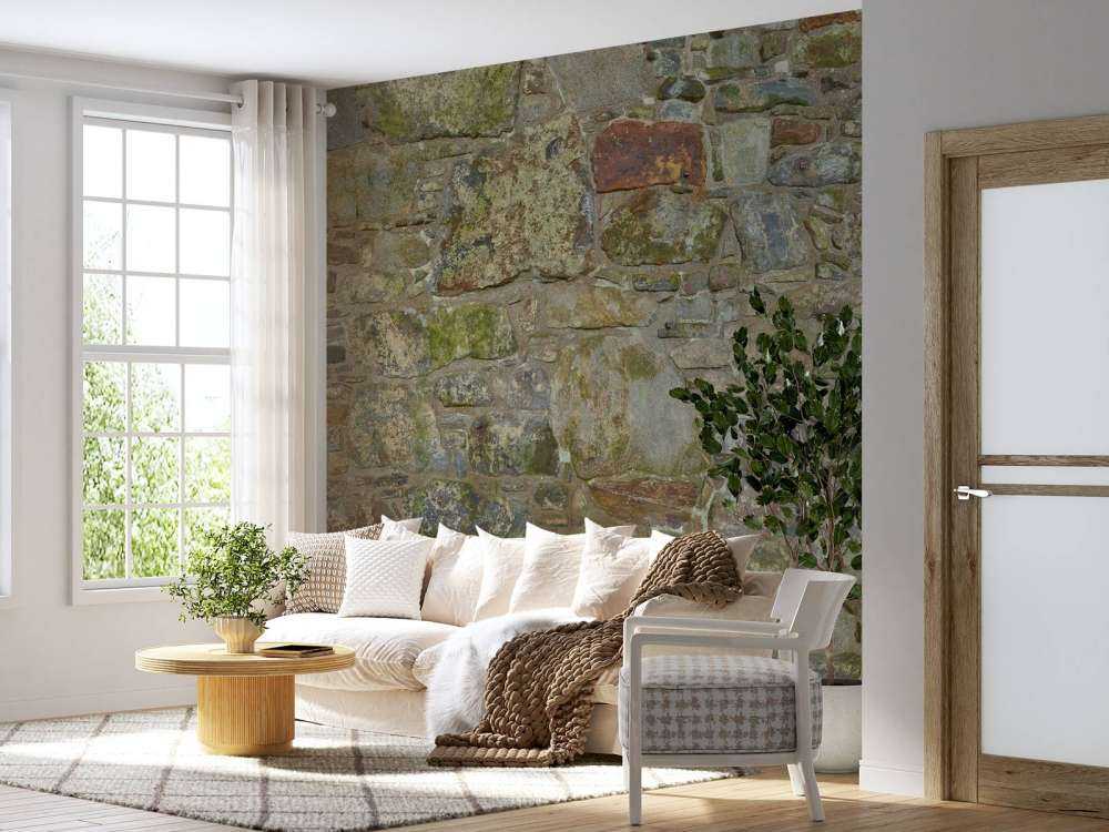 Vecchio muro con muschio