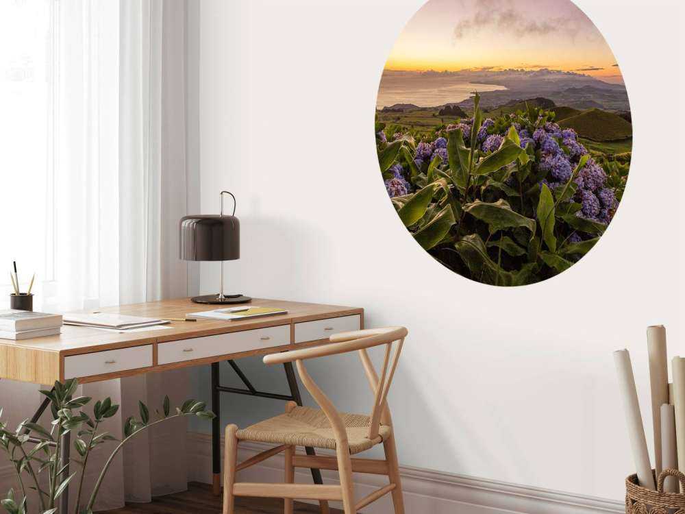 Tramonto con ortensie