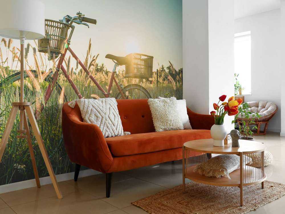 Bicicletta vintage rossa