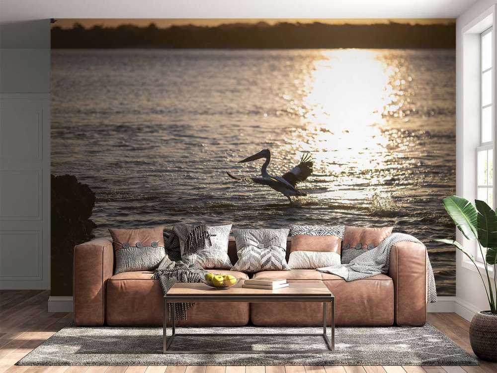 Pellicani al tramonto