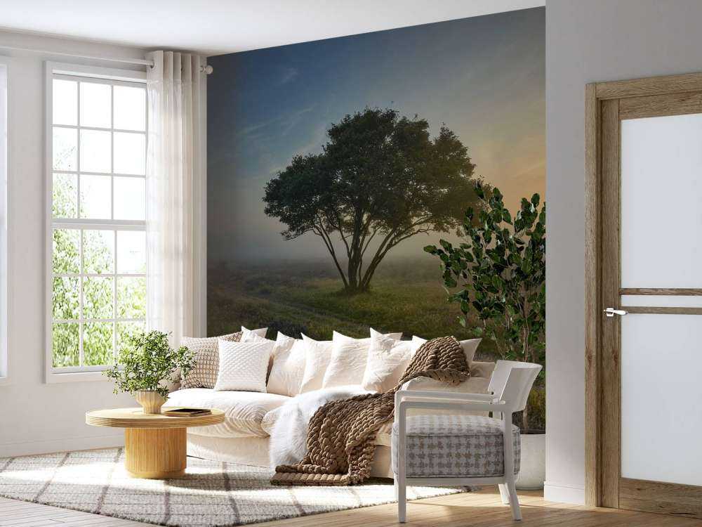 Alba sulla brughiera