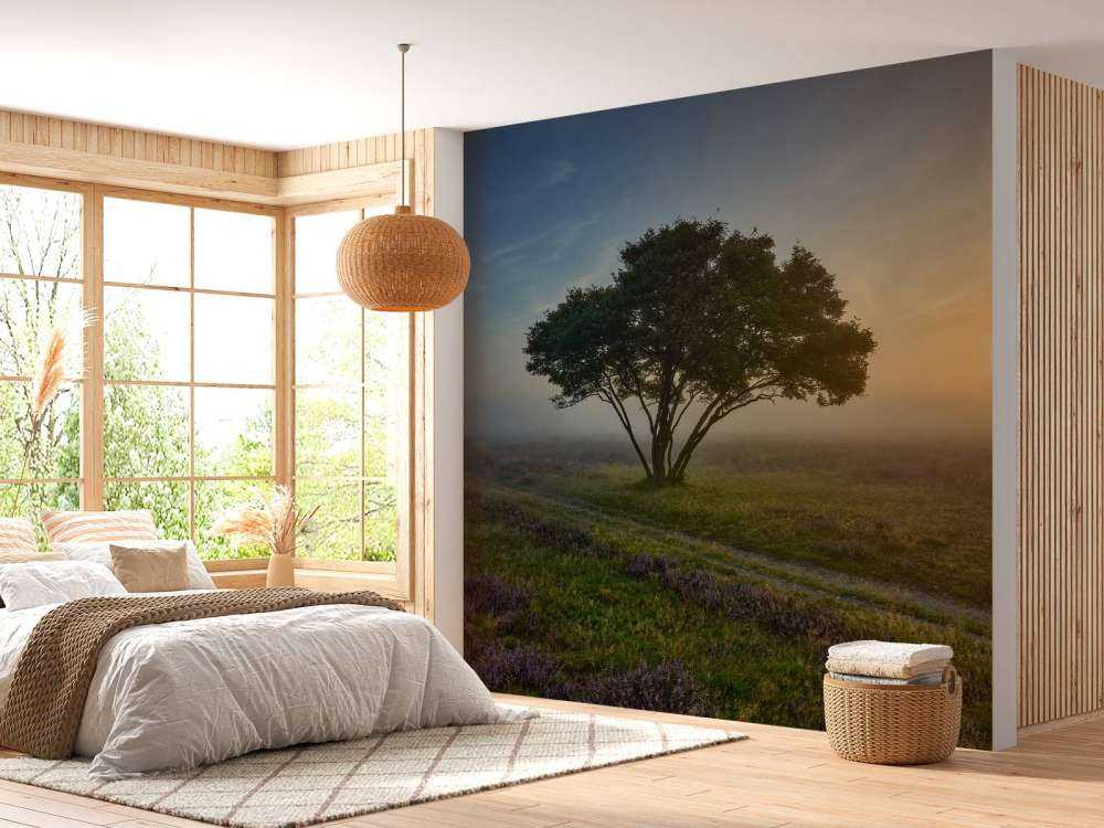 Alba sulla brughiera