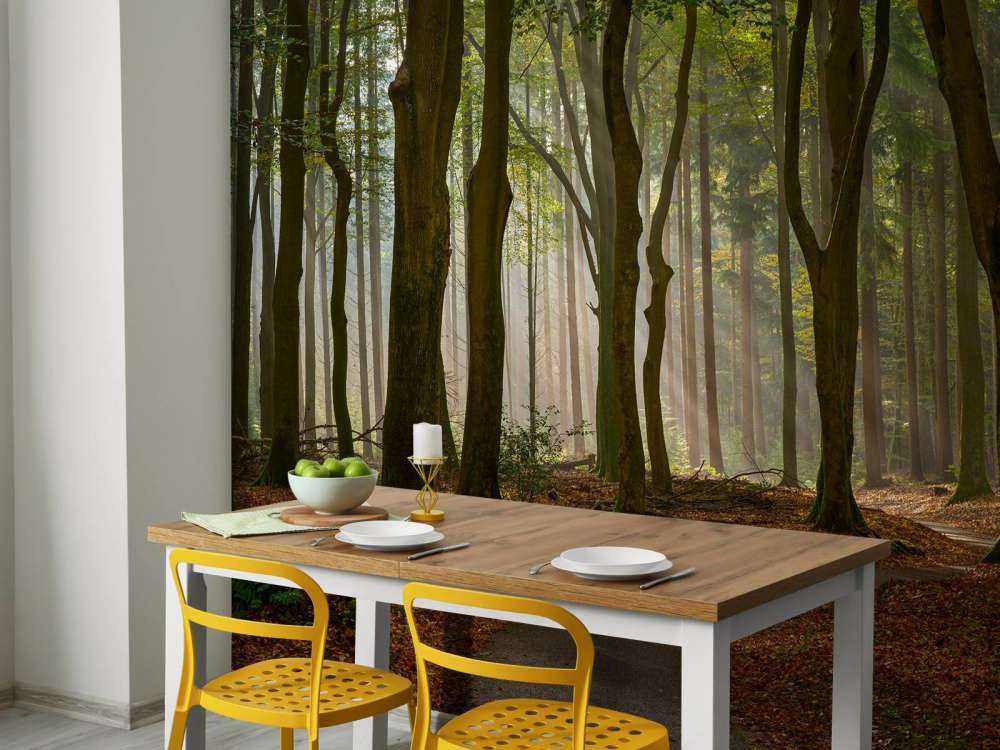 Raggi di sole al percorso attraverso la foresta