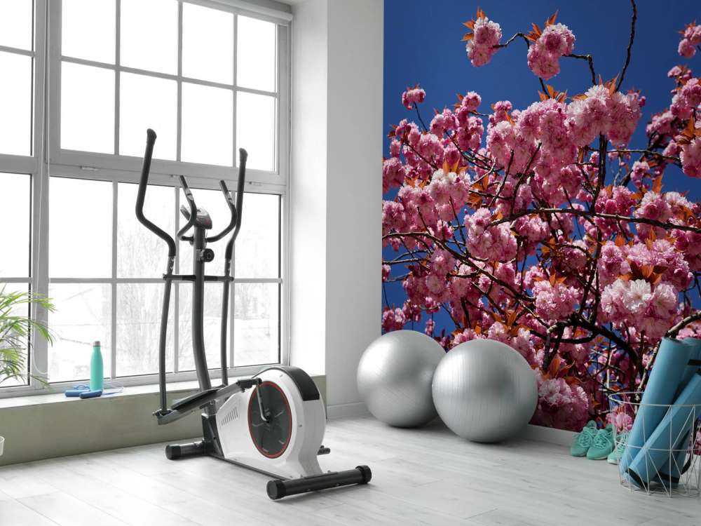 Fiore rosa con cielo blu