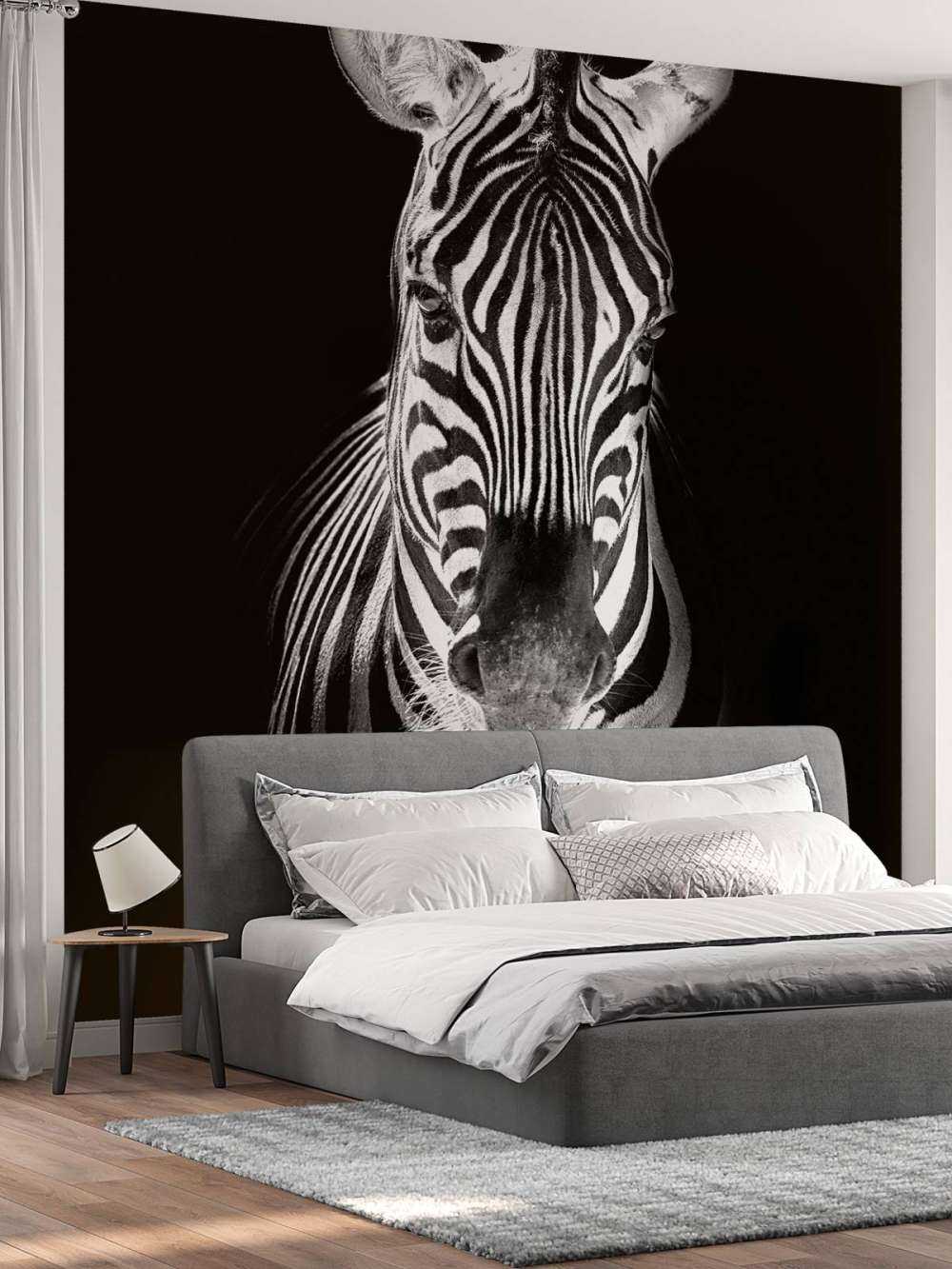 Close-up zebra in bianco e nero