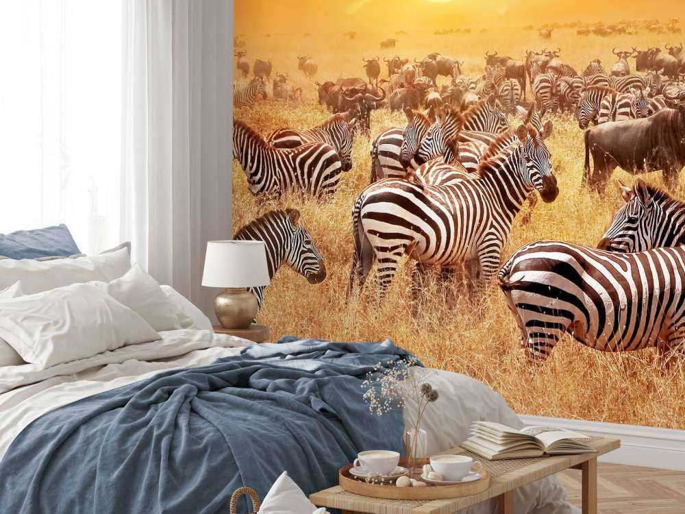 Savana sole con zebre