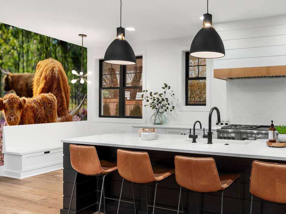 Famiglia Scozzese Highlanders