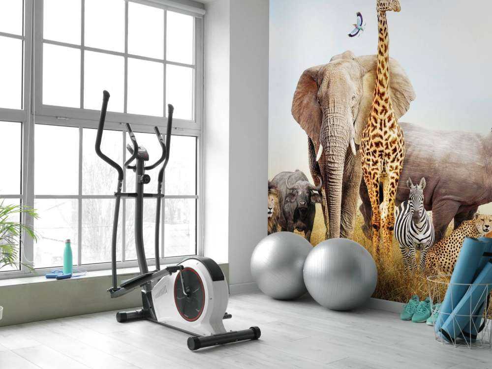 Animali nella savana