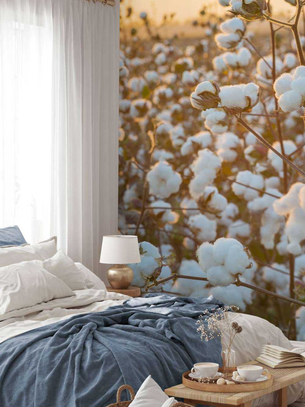 Campo di cotone con cielo giallo dorato