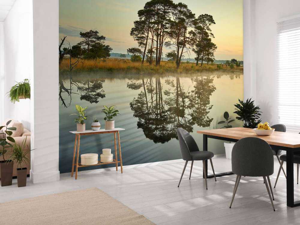 Riflessione nelle vene del bosco