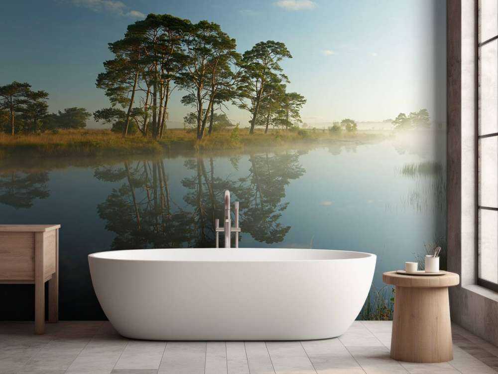 Riflessione nella brughiera