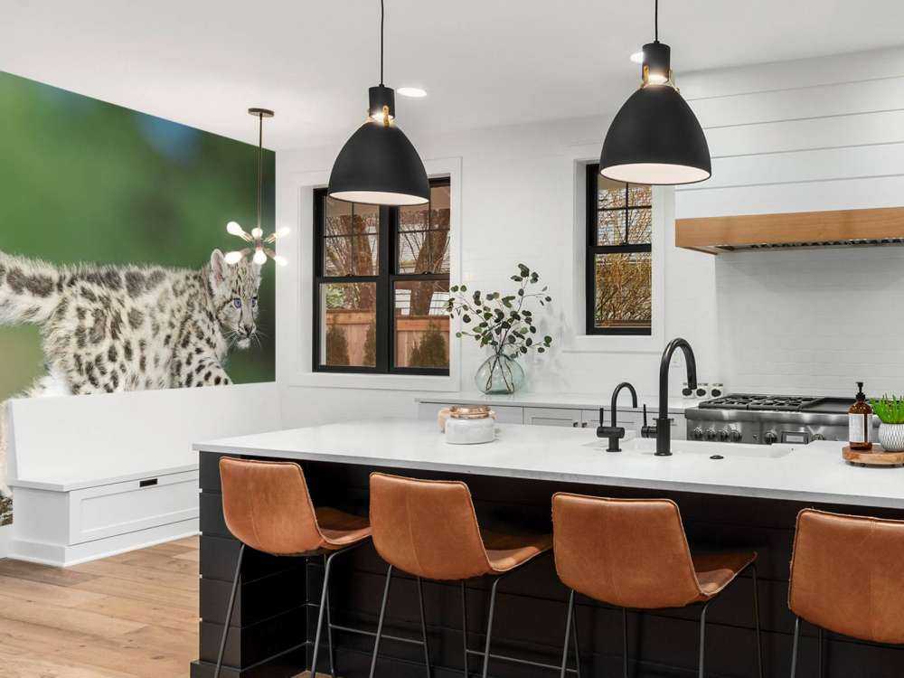 Cucciolo di leopardo delle nevi