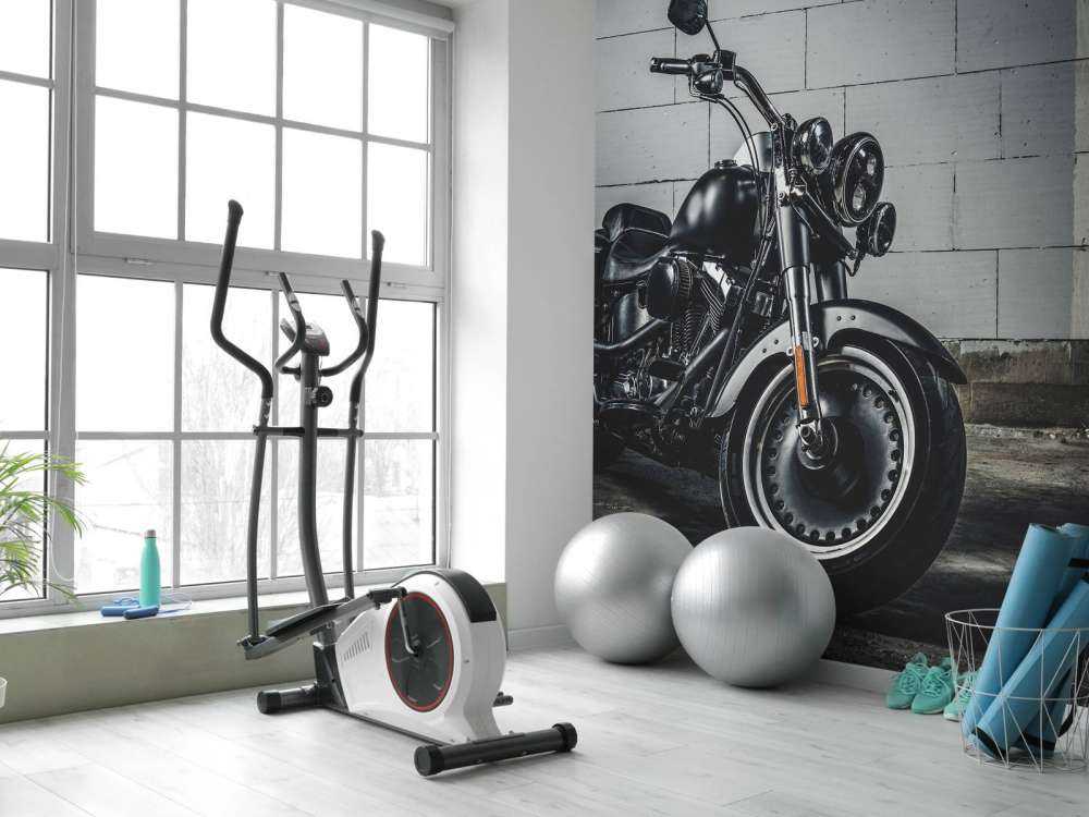 Motore splendidamente lucidato