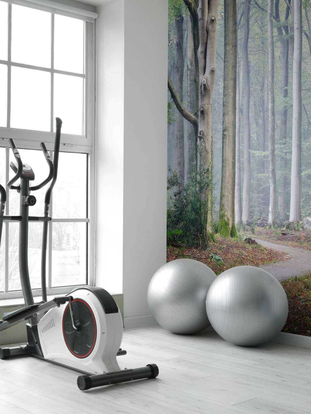 Sentiero attraverso la foresta