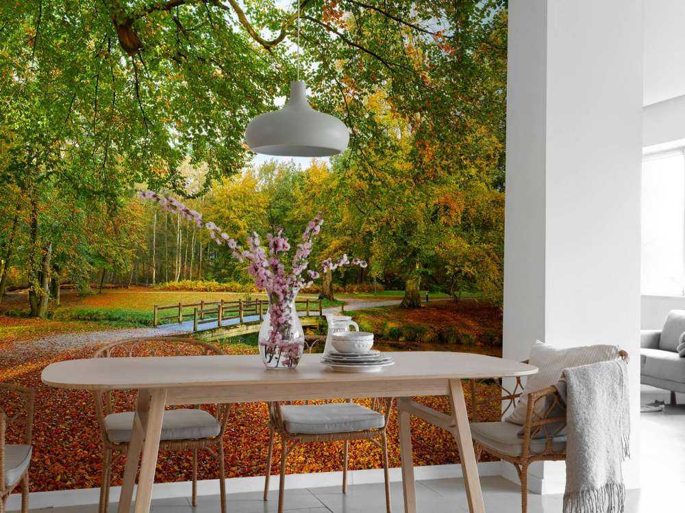 Ponte in una grande foresta