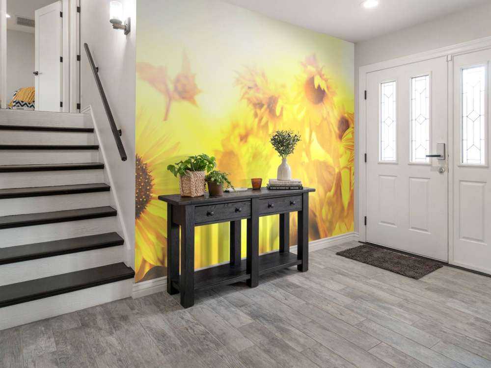 Panorama del girasole